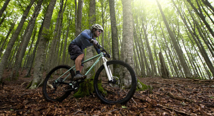 best places for fitness and recreation in marin county california