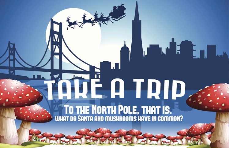 Take a trip - to the North pole