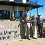 Feature: The lives aquatic