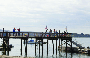 A familiar scene at Lawson's Landing. Photo by Michael Amsler