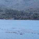 Letter: ‘The established truth’