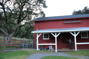 Phil Straub closes the barn at the Point Reyes National Seashore Morgan Horse Ranch. Photo by Molly Oleson.