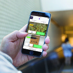 Upfront: Cannabis inc.