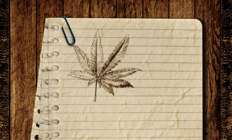420 issue: Cannabis confidential