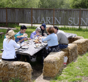 West Marin Food & Farm Tours combines van adventures, delicious food and a history of the region. Photo courtesy of West Marin Food & Farm Tours.
