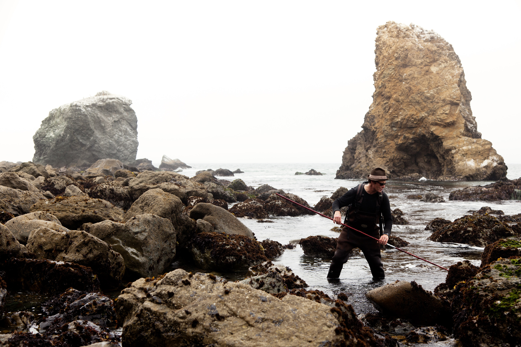 Feature: The sea forager