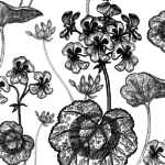 Upfront: Stocking Up