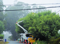 Upfront: The Long Branch