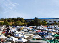 Feature: Food For Thought