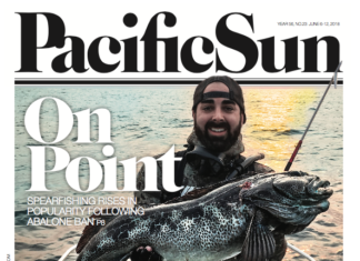 This Week in the Pacific Sun