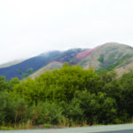 Upfront: The Smoke Filled State