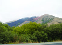 Upfront: The Smoke Filled State