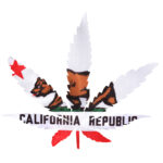 Upfront: The Bong Show