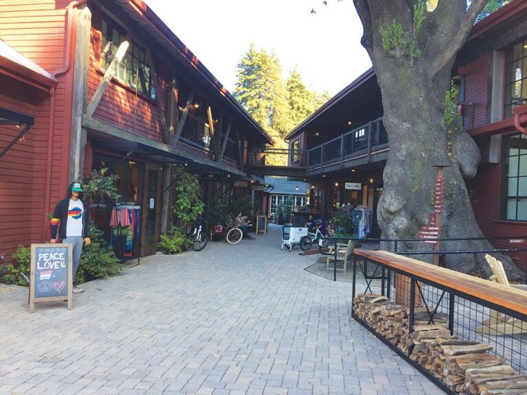 A Day in the Valley