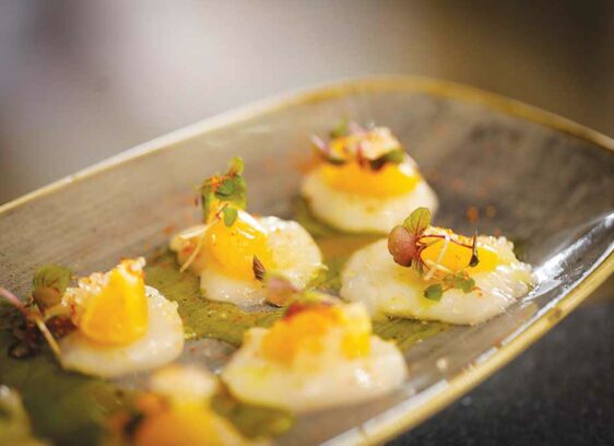 Floodwater opens in Mill Valley