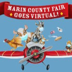 Marin County Fair Soars Online