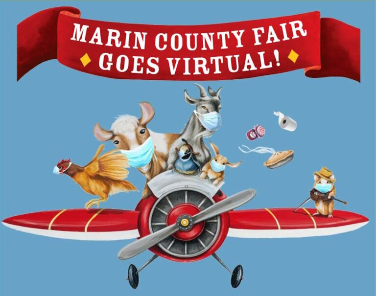 Marin County Fair Soars Online