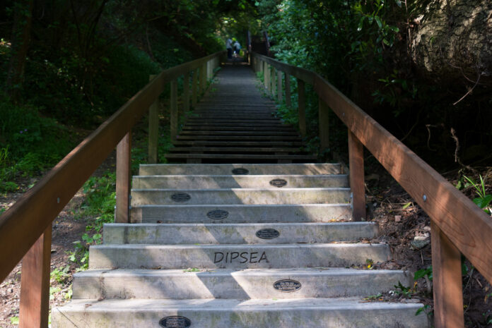 Dipsea_Race_wikimedia commons Frank Schulenburg