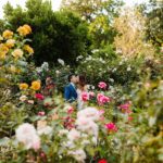 Marin Sanctuary Marks 75 Years of Arts and Gardens