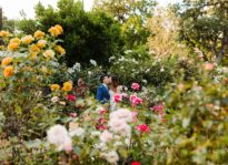 Marin Sanctuary Marks 75 Years of Arts and Gardens