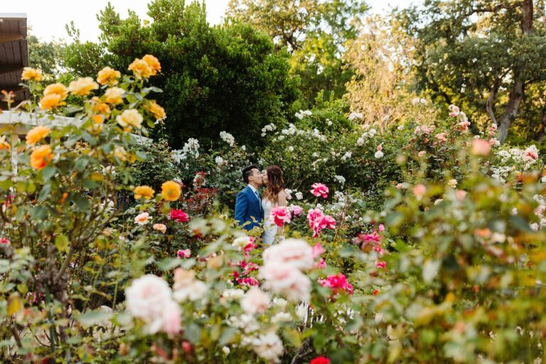 Marin Sanctuary Marks 75 Years of Arts and Gardens