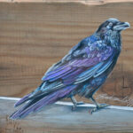 Virtual Art in the Park Showcases North Bay Creators