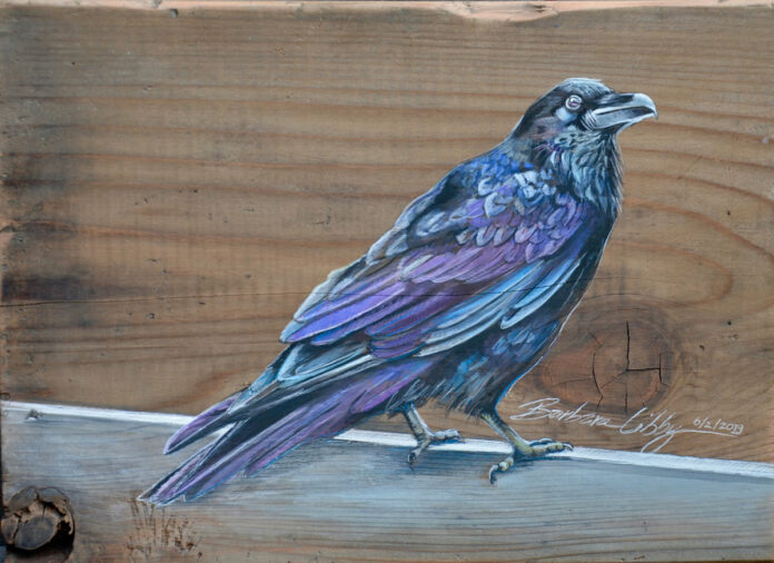 raven-plank