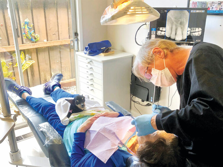 Toothless Dog Soothes Dentist’s Patients
