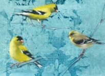 Calistoga Gallery Taps Dickinson