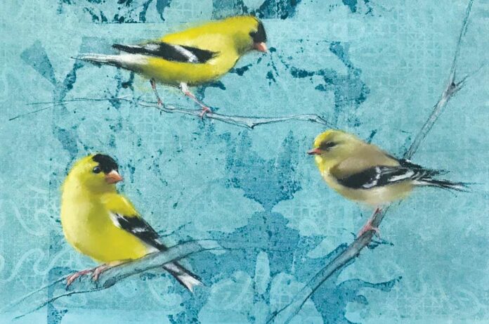 NBB.2037.Arts