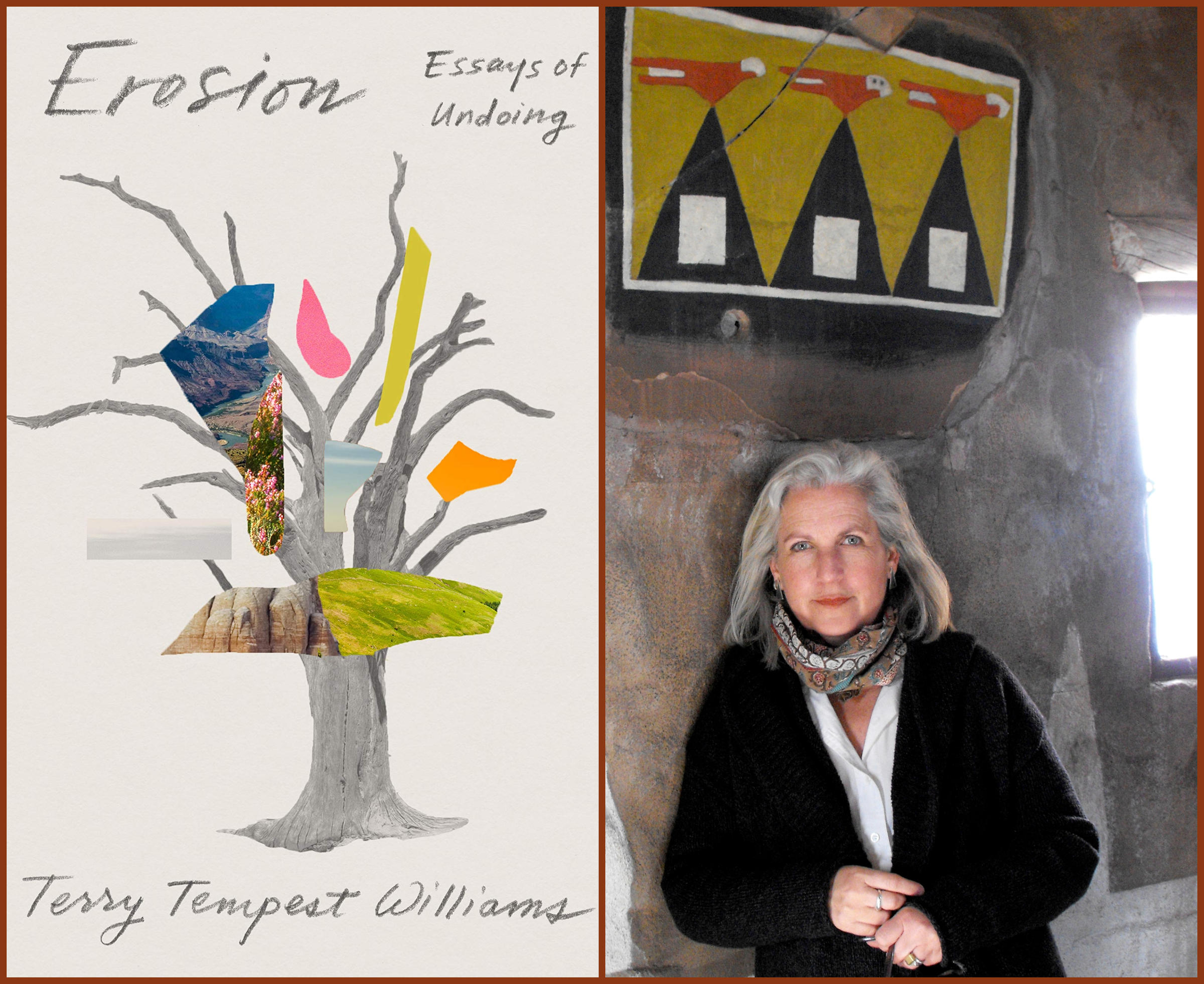 terrytempestwilliams-erosion