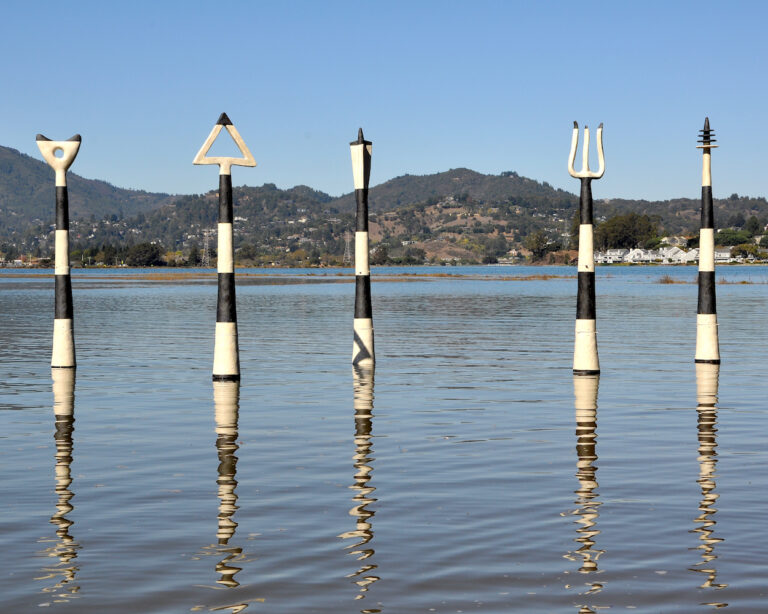 Marin Artist Follows Rising Tides with Aquatic Sculptures