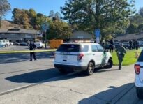 Two Arrested Following Election Day Shooting in Marin City Marin City Sheriff Election Day 2020