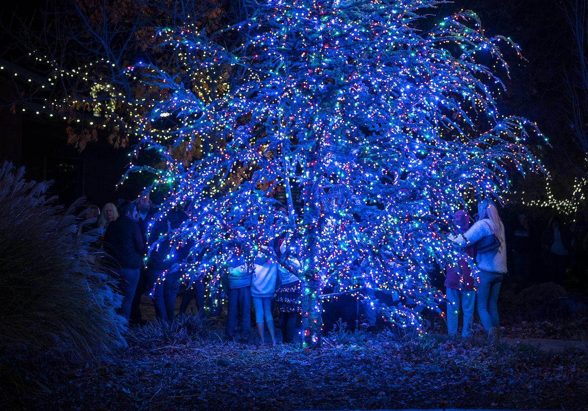 Holidays in Yountville