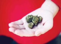 Giving Green: Cannabis Gifts Cannabis Gifts