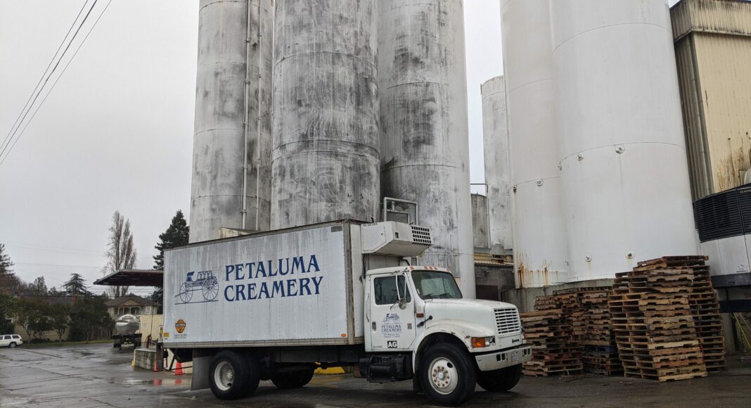 Petaluma Creamery Sonoma County Daedalus Howell