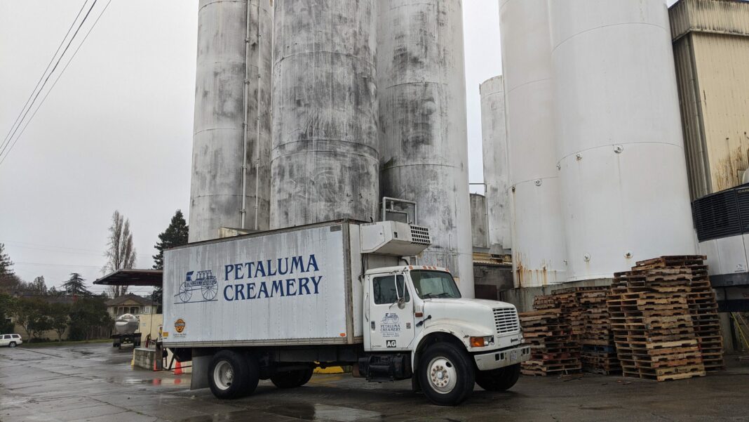 Petaluma Creamery Sonoma County Daedalus Howell