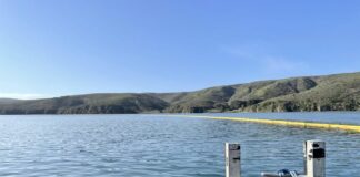 American Challenger boom cleanup