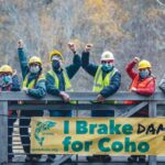SPAWN Spans San Geronimo Creek