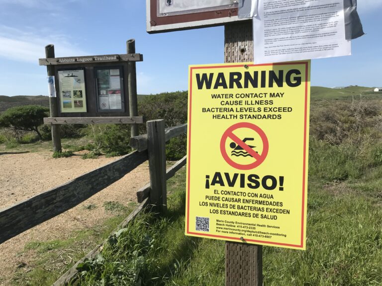 Marin County Posts, Then Removes, Bacteria Warning Signs at Point Reyes Beaches