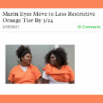 Orange tier Mill Valley Chamber of Commerce