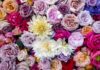 Flower display