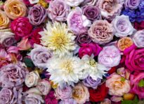 Mill Valley Activists to Hold Vigil in Support of Asian Community Flower display