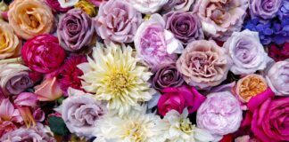 Flower display