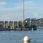 Richardson Bay - April 2, 2021