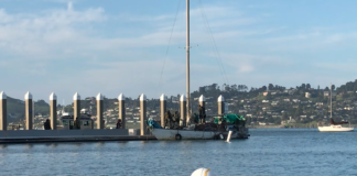 Richardson Bay - April 2, 2021