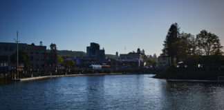 Petaluma River, California - June 2021