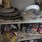 Marin Housing Authority, California