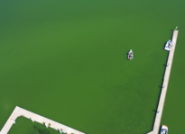 California Salmon Suffer In Drought