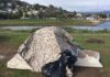 Tent - Marin County, California